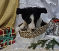 processed/f204b027-43ef-4380-af83-2fdfc61bbdb6/listing/bf5311bc-02ea-440d-a068-ef00ec9c971c/2abb5a96-10f9-44d4-9415-db680d0b6474