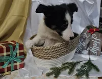 processed/f204b027-43ef-4380-af83-2fdfc61bbdb6/listing/bf5311bc-02ea-440d-a068-ef00ec9c971c/a072e9c6-5c40-42c4-8ff4-d9be54afc2ca