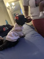 Demi , a female Lhasa Apso and Poodle - Toy  for sale in Charlotte, NC – 3 of 8