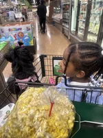 Demi , a female Lhasa Apso and Poodle - Toy  for sale in Charlotte, NC – 6 of 8