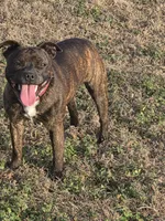 processed/f206bb9a-c894-493c-b7d5-b43000083e16/listing/39845b9e-5798-450a-a5f2-d6b12b8de496/1f1481de-cfff-47e9-969f-20bdd8aadf41