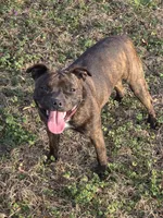 processed/f206bb9a-c894-493c-b7d5-b43000083e16/listing/39845b9e-5798-450a-a5f2-d6b12b8de496/49c3bda4-f4e1-41c5-801c-1fa5dc286c21