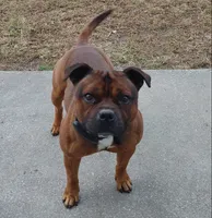 processed/f206bb9a-c894-493c-b7d5-b43000083e16/listing/39845b9e-5798-450a-a5f2-d6b12b8de496/59754ce9-e3ce-41ac-8950-a6172b39960a