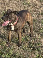 processed/f206bb9a-c894-493c-b7d5-b43000083e16/listing/39845b9e-5798-450a-a5f2-d6b12b8de496/5e02375d-8b38-4960-ae96-a0166c17e9f0