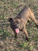 processed/f206bb9a-c894-493c-b7d5-b43000083e16/listing/39845b9e-5798-450a-a5f2-d6b12b8de496/a134839f-bcef-462e-a4e4-c4d6f1f8c2db