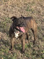 processed/f206bb9a-c894-493c-b7d5-b43000083e16/listing/39845b9e-5798-450a-a5f2-d6b12b8de496/d0fb9af5-0059-422a-95d4-3718d223f4f7