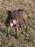 processed/f206bb9a-c894-493c-b7d5-b43000083e16/listing/39845b9e-5798-450a-a5f2-d6b12b8de496/f22256d7-4bd3-49e6-89aa-51fe7ebc21ee