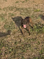 processed/f206bb9a-c894-493c-b7d5-b43000083e16/listing/39845b9e-5798-450a-a5f2-d6b12b8de496/ffeae53d-f321-4c39-8dd0-61a84479d4a6