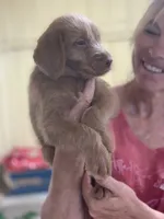 processed/f212adc9-b480-4672-87c1-cf92f45db6bd/facility/0ff5f31d-a6b6-44ec-9a74-87a49ee89c2c