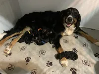 processed/f212adc9-b480-4672-87c1-cf92f45db6bd/facility/5059806e-c920-40e8-acf2-75abdb7014d7