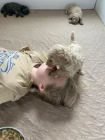 processed/f212adc9-b480-4672-87c1-cf92f45db6bd/facility/64e9c233-9fb3-410b-a963-5394847ffca5