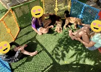 processed/f212adc9-b480-4672-87c1-cf92f45db6bd/facility/7853d932-3048-47ab-8eaf-b53d8e3a6f2a