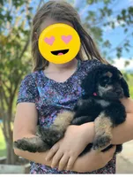 processed/f212adc9-b480-4672-87c1-cf92f45db6bd/facility/8de0e7cd-8bec-41da-b4ad-95a7b24b90c6