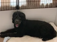 processed/f212adc9-b480-4672-87c1-cf92f45db6bd/facility/f34170e8-e90b-4459-9932-1fe395114503