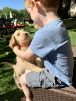 processed/f212adc9-b480-4672-87c1-cf92f45db6bd/facility/fe22ac5d-4794-4ccb-b037-0253954f766e