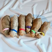 processed/f212adc9-b480-4672-87c1-cf92f45db6bd/listing/4720e068-966c-448c-861d-3667c58a5ded/0fe8b970-ae62-411e-8844-6ba6aa999a08