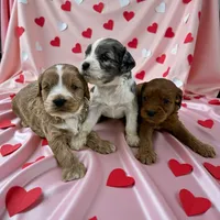 processed/f212adc9-b480-4672-87c1-cf92f45db6bd/listing/4a112e81-68cc-4521-aafa-19ccab6614aa/1ba0a07d-f41a-4a90-8d1f-0928ec572851