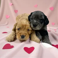 processed/f212adc9-b480-4672-87c1-cf92f45db6bd/listing/4a112e81-68cc-4521-aafa-19ccab6614aa/ba19c73d-ae9f-4ad2-a7cd-9d33ad282f46