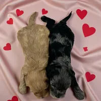 processed/f212adc9-b480-4672-87c1-cf92f45db6bd/listing/4a112e81-68cc-4521-aafa-19ccab6614aa/f64d9f13-ad59-4bed-b669-d8bbefdd6392