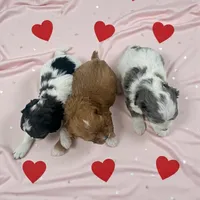 processed/f212adc9-b480-4672-87c1-cf92f45db6bd/listing/d8d15669-c2c2-4d10-9f5f-385643bc2057/085baf46-f790-482e-844a-8ece68f69d0b