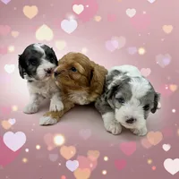 processed/f212adc9-b480-4672-87c1-cf92f45db6bd/listing/d8d15669-c2c2-4d10-9f5f-385643bc2057/abb7afbf-9f7e-41da-983d-287911b06f24