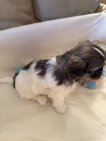 processed/f218174d-eff8-4608-9008-40fcac1bd507/listing/2b41efc3-05a8-4beb-b035-6d4a4f968814/582d4d35-aba7-4bbc-8332-c00047202fd1