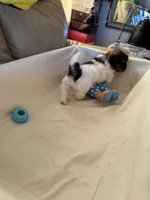 processed/f218174d-eff8-4608-9008-40fcac1bd507/listing/2b41efc3-05a8-4beb-b035-6d4a4f968814/9c7c3fbe-3800-45b0-8772-9b2e02276730