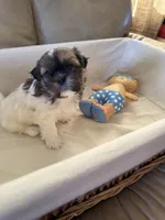 processed/f218174d-eff8-4608-9008-40fcac1bd507/listing/2b41efc3-05a8-4beb-b035-6d4a4f968814/b22649f8-2804-4321-a68f-aca5b0ad87c5