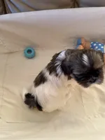 processed/f218174d-eff8-4608-9008-40fcac1bd507/listing/2b41efc3-05a8-4beb-b035-6d4a4f968814/e1a75efe-6d88-4c3e-b869-ac9afd5aaf33