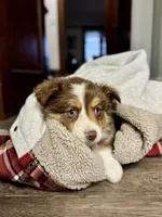 processed/f219a5ee-971b-4d23-8a07-5f86d2deb18c/listing/8f5d40c3-e1fc-40d9-8756-050572e004af/34926931-20c9-4987-b58f-deefd8f3db84