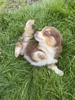 processed/f219a5ee-971b-4d23-8a07-5f86d2deb18c/listing/8f5d40c3-e1fc-40d9-8756-050572e004af/c3ff9456-d666-4616-92f7-c5059ebf674f