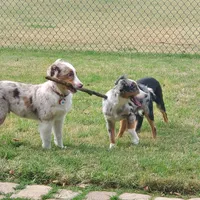 processed/f21aafcd-729c-4201-a630-e8aea13b83d3/facility/060d588e-787f-4e47-bb1a-5d4d349428e9