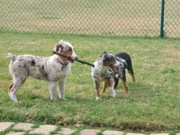 processed/f21aafcd-729c-4201-a630-e8aea13b83d3/facility/060d588e-787f-4e47-bb1a-5d4d349428e9