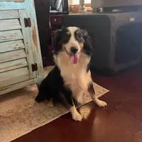 processed/f21aafcd-729c-4201-a630-e8aea13b83d3/facility/0634ad35-20de-49b1-968f-ad4d6cb1e148