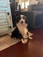 processed/f21aafcd-729c-4201-a630-e8aea13b83d3/facility/0634ad35-20de-49b1-968f-ad4d6cb1e148