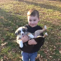 processed/f21aafcd-729c-4201-a630-e8aea13b83d3/facility/3e8fc672-433b-46ca-b48f-be5dcb3bb891