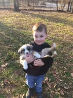 processed/f21aafcd-729c-4201-a630-e8aea13b83d3/facility/3e8fc672-433b-46ca-b48f-be5dcb3bb891