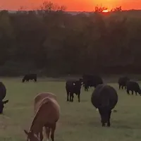 processed/f21aafcd-729c-4201-a630-e8aea13b83d3/facility/85985d62-4ade-4ffc-af79-b6ab83bd5960