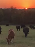 processed/f21aafcd-729c-4201-a630-e8aea13b83d3/facility/85985d62-4ade-4ffc-af79-b6ab83bd5960