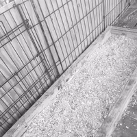 processed/f21aafcd-729c-4201-a630-e8aea13b83d3/facility/9dad55d9-55c6-4385-8cce-c47c7d363e21