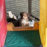 processed/f21aafcd-729c-4201-a630-e8aea13b83d3/facility/d29efa7f-6207-4d77-8183-adaa4ac5deb9