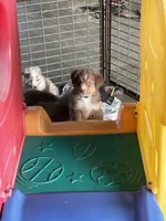 processed/f21aafcd-729c-4201-a630-e8aea13b83d3/facility/d29efa7f-6207-4d77-8183-adaa4ac5deb9