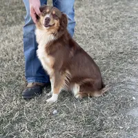 processed/f21aafcd-729c-4201-a630-e8aea13b83d3/facility/d30634c1-1aa0-4ce8-9406-ad8f84058233