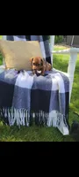 Danielle, a female Miniature Dachshund for sale in Montgomery, IN – 7 of 8