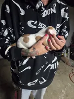 processed/f22c688b-749e-49be-a99b-fea38cd0af50/listing/0c2f5d08-4c2c-49e3-96f8-75f4309cd3d2/a0667c9f-4863-479a-a800-1d7d39aa94c7