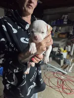 processed/f22c688b-749e-49be-a99b-fea38cd0af50/listing/0c2f5d08-4c2c-49e3-96f8-75f4309cd3d2/d2ff1619-0ea7-4ca3-a151-e7af959a79c5