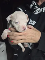 processed/f22c688b-749e-49be-a99b-fea38cd0af50/listing/2af503ff-7b07-4fd8-a27d-2f9ca5745986/33c1e5c4-f760-4bc4-816b-e63dcf9d4cfa