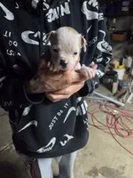 processed/f22c688b-749e-49be-a99b-fea38cd0af50/listing/31b614d3-0a44-4e8f-8f16-de5104342ce4/1d6e9a32-a255-4391-9995-ec71e272e946