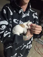 processed/f22c688b-749e-49be-a99b-fea38cd0af50/listing/31b614d3-0a44-4e8f-8f16-de5104342ce4/d1b5a26a-8318-4f3f-88c4-52425e5f4edc