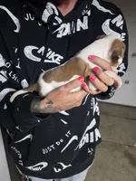 processed/f22c688b-749e-49be-a99b-fea38cd0af50/listing/9c4cc0f8-a596-4c43-bcd2-06eb68b64410/1b17e9c1-bcbf-42be-8a84-11c5446f8bc3